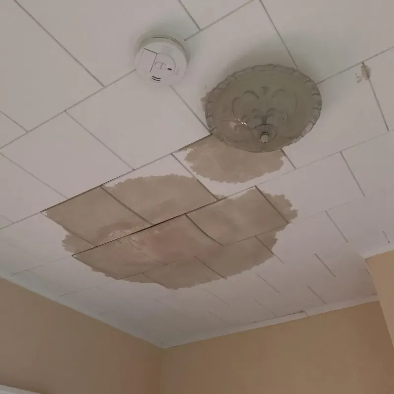 Ceiling Water Damage Repair in South Barre, VT