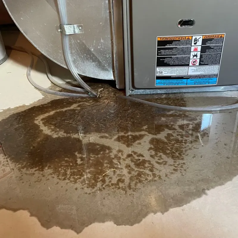 Pipe Burst and Leak Restoration in South Barre, VT